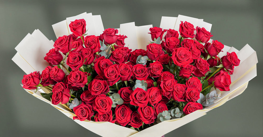 Red roses big size bouquet. Fresh flower, wrapping bouquet, Luxury flowers bouquet. 100 roses