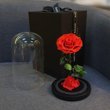 Forever Red Rose in Glass Dome – Luxury Preserved Flower Gift Box