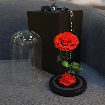 Forever Roses – Bouquets, Arrangements & Single Roses UAE