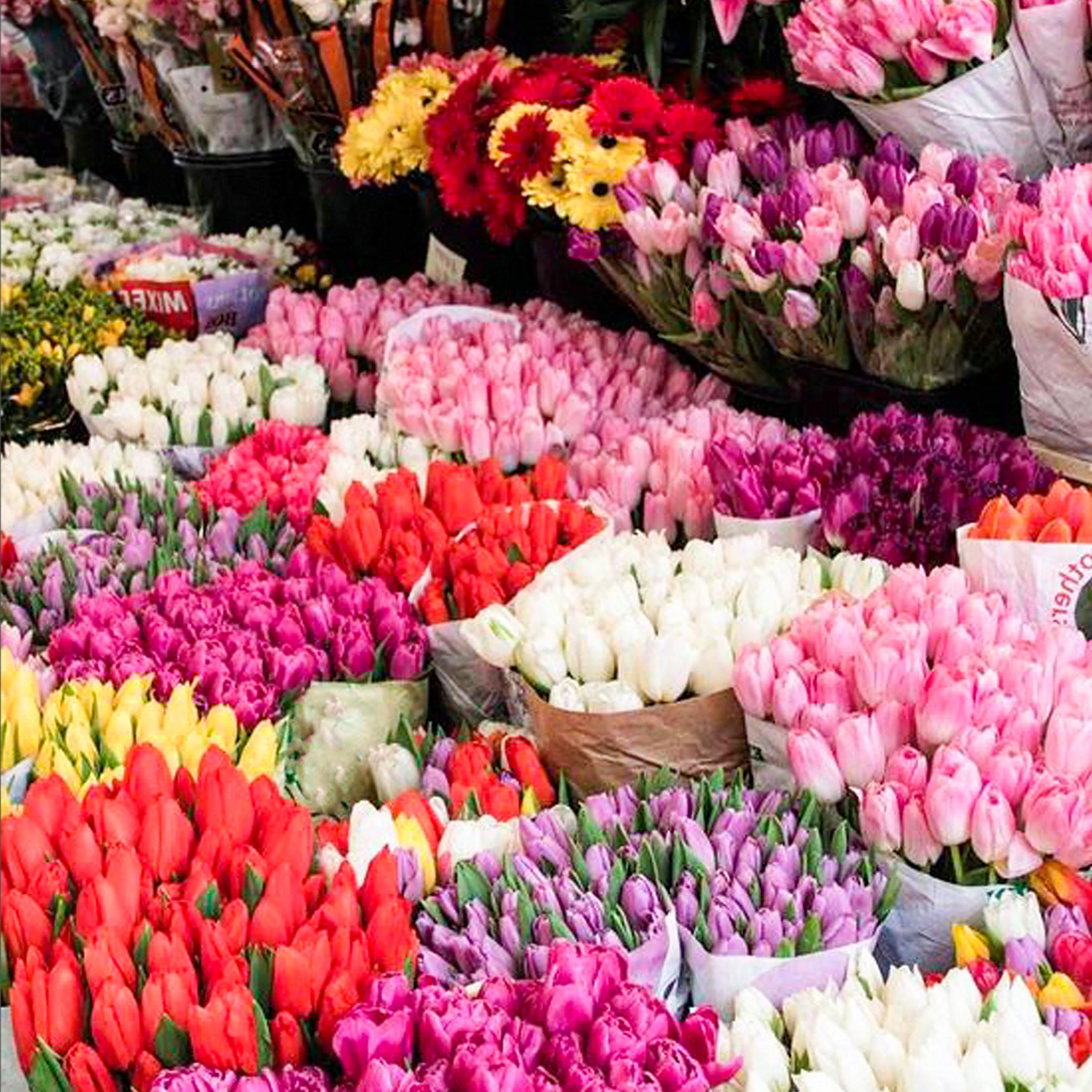 Wrapping hand bouquet under 99 to 150 DHS