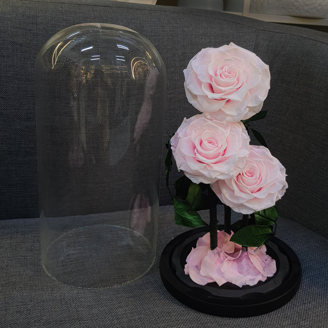 Forever Light Pink Roses in Glass Dome – Set of 3 Preserved Roses Gift Box