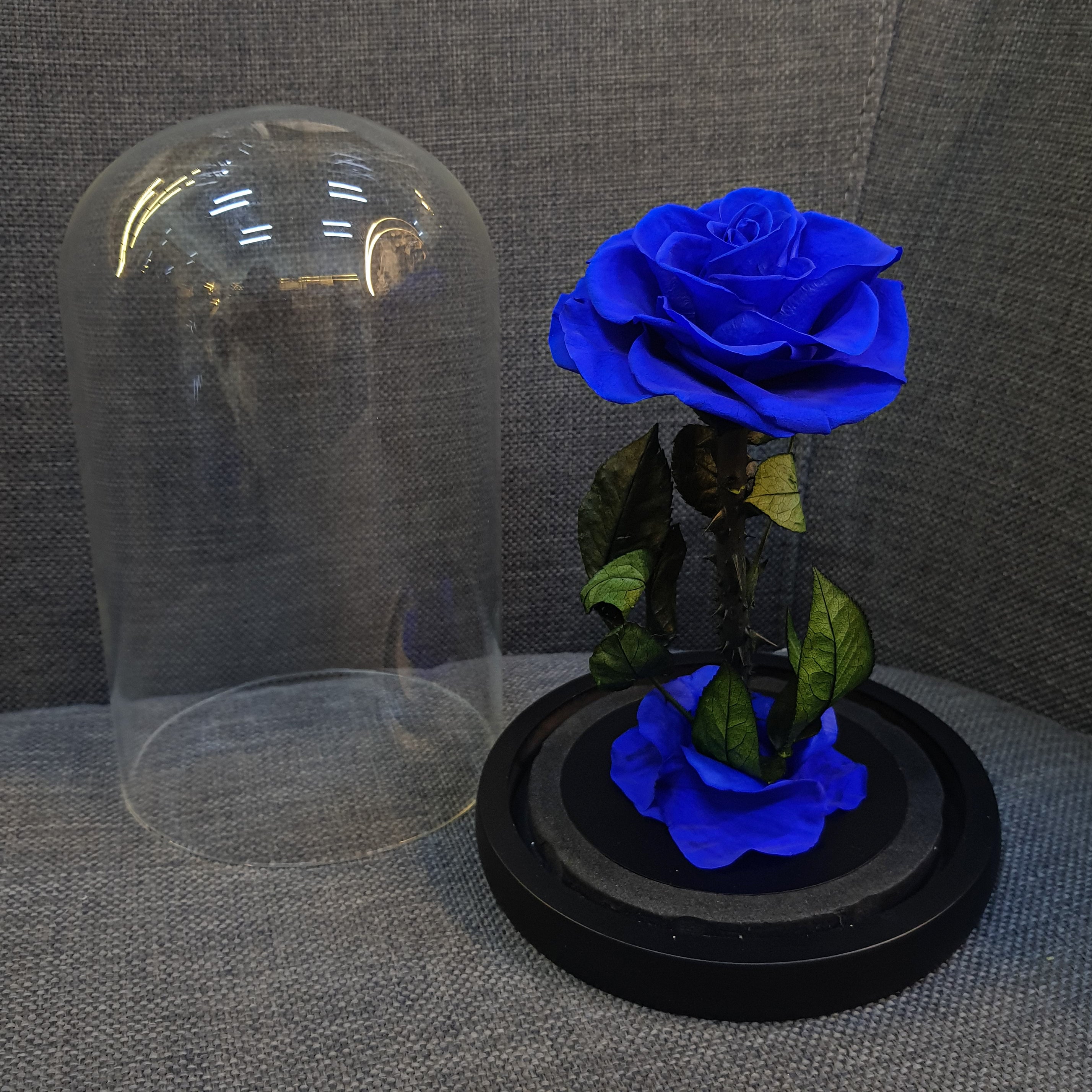 Forever Dark Blue Rose in Glass Dome – Luxury Preserved Flower Gift Box