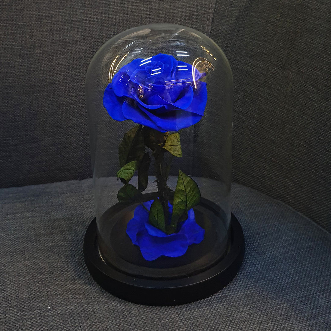 Forever Dark Blue Rose in Glass Dome – Luxury Preserved Flower Gift Box