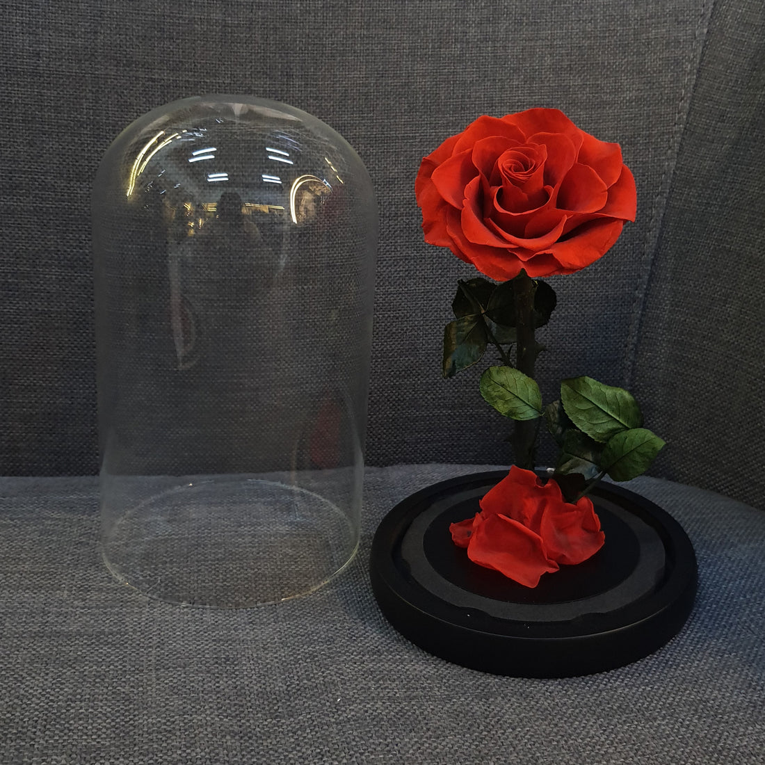 Forever Red Rose in Glass Dome – Luxury Preserved Flower Gift Box
