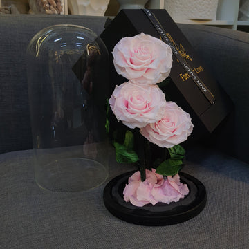 Forever Light Pink Roses in Glass Dome – Set of 3 Preserved Roses Gift Box