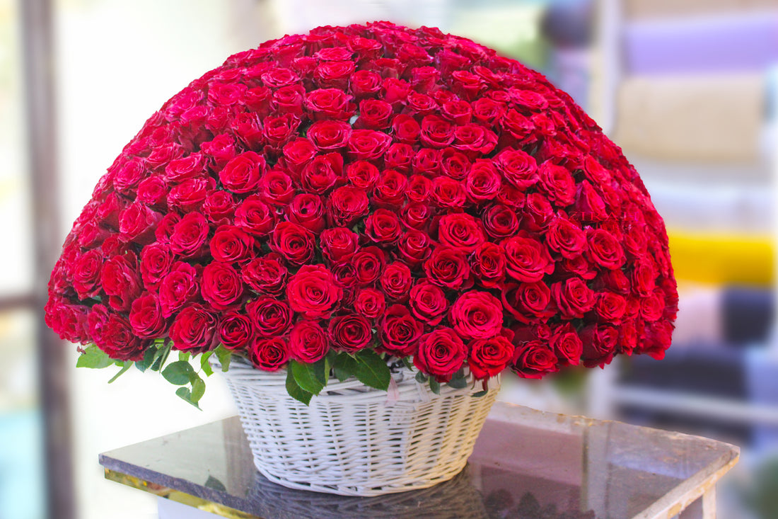 500 Red Roses Basket Bouquet | Luxury Gift for Love & Special Occasions – Jazirah Flowers UAE