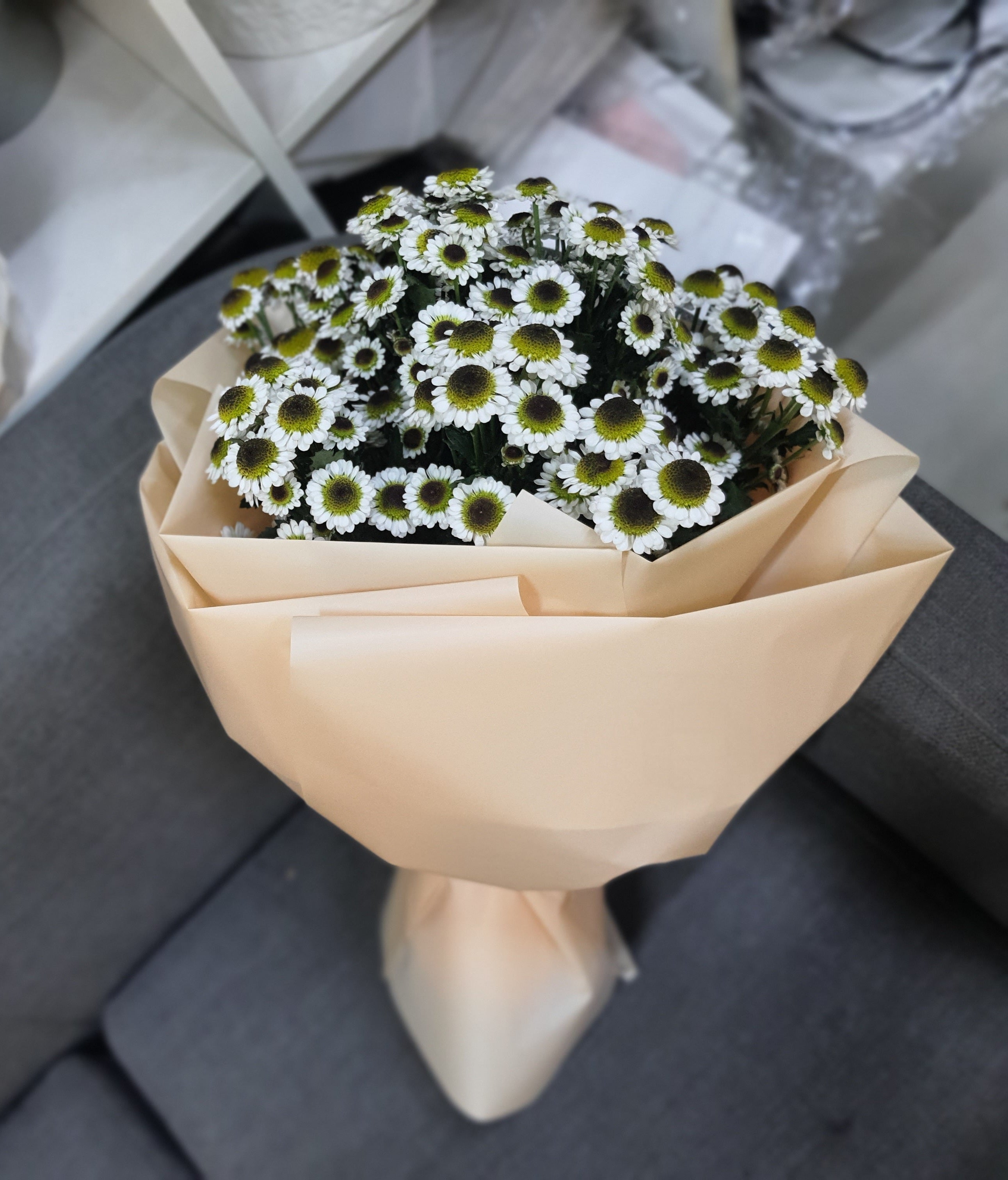 Describe the image using keywords for accessibility and image search.