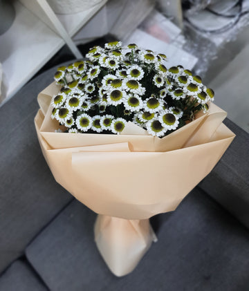 Describe the image using keywords for accessibility and image search.